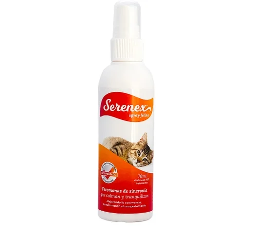 animalsapiens-452047