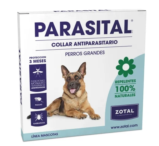 animalsapiens-453084