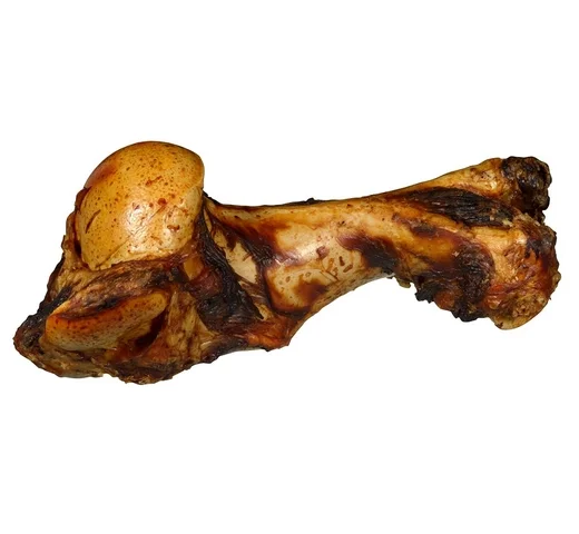 animalsapiens-463662
