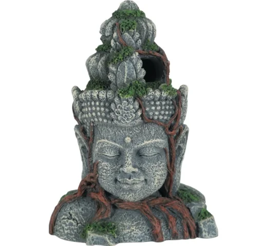 animalsapiens-467200