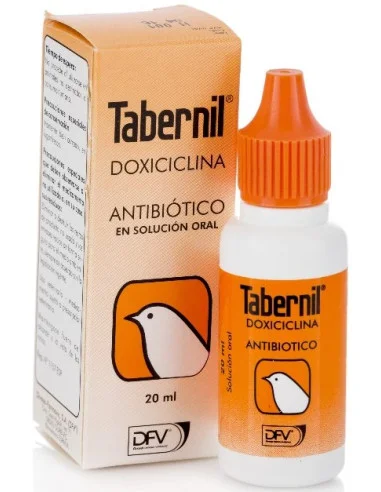 comercialbuendia-436761