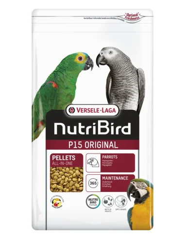 comercialbuendia-437058