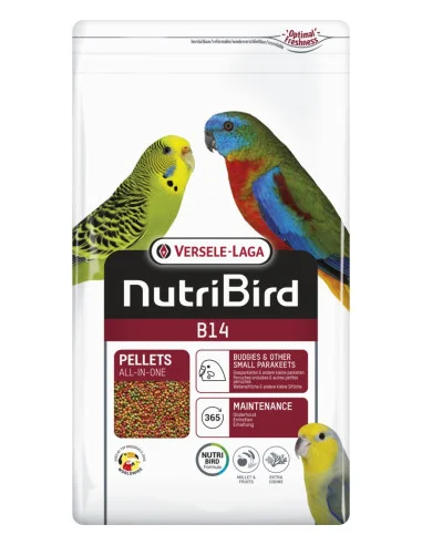 comercialbuendia-437066