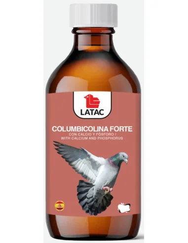 comercialbuendia-437985