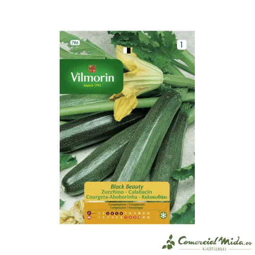 comercialmida430957