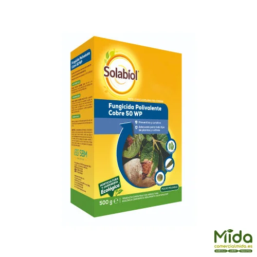 comercialmida431848