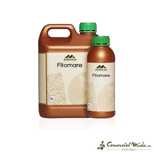 comercialmida432318