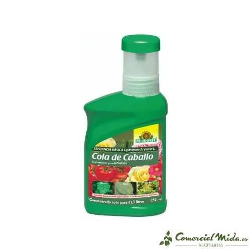 comercialmida433141