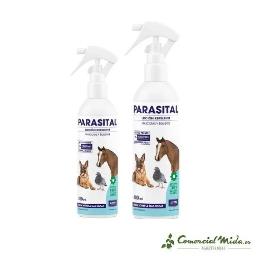 comercialmida433324