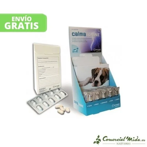 comercialmida434131