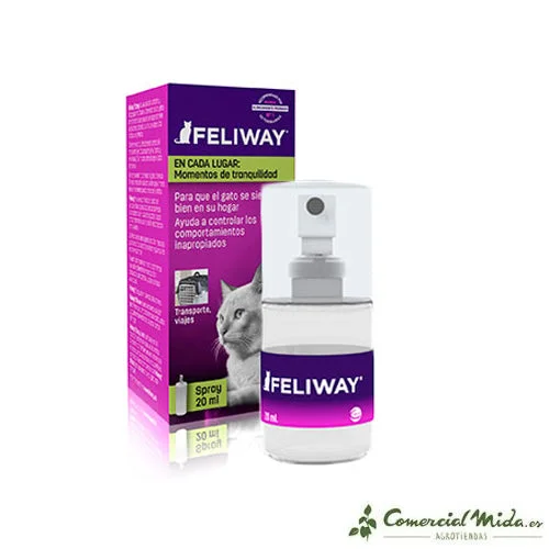 comercialmida434847