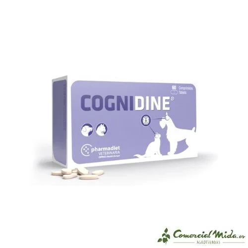 comercialmida436312