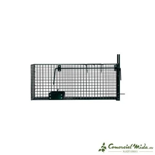 comercialmida436423