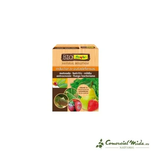 comercialmida437417