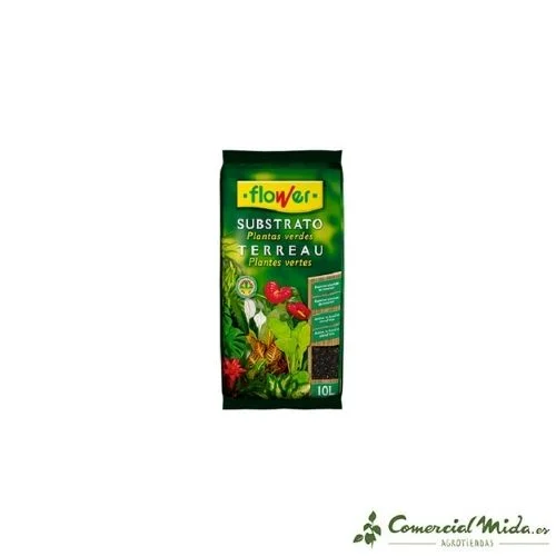 comercialmida439529