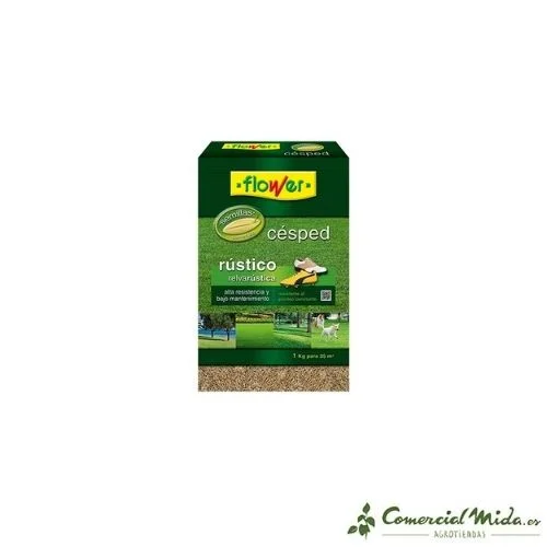 comercialmida439961