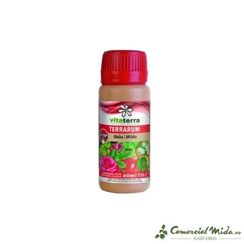 comercialmida440895