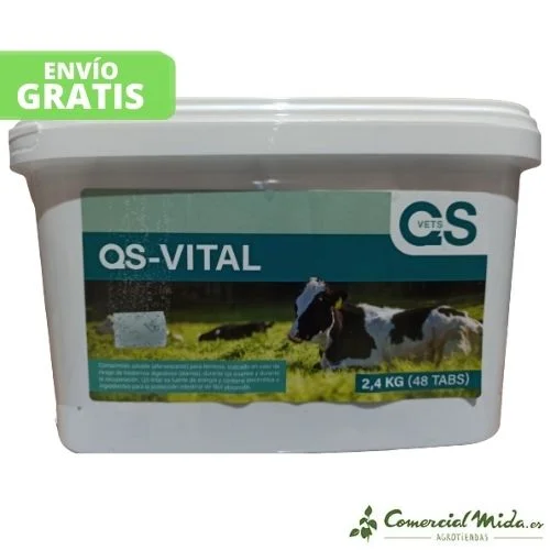 comercialmida443901