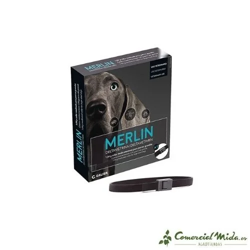 comercialmida444417