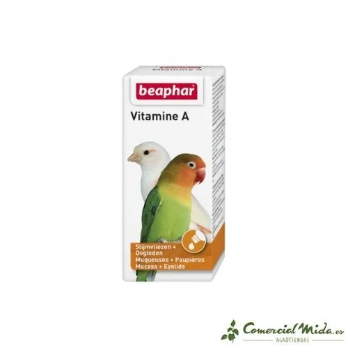 comercialmida444845