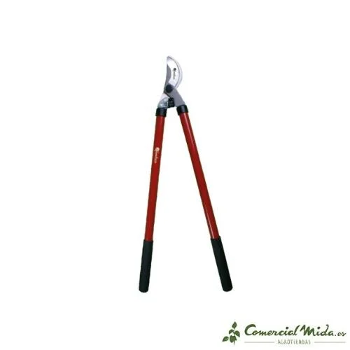 comercialmida444869