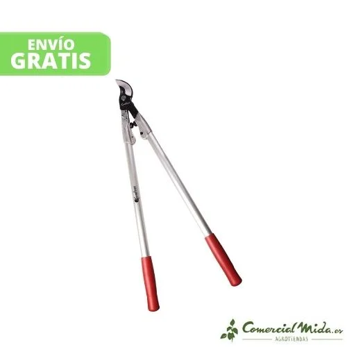 comercialmida444893