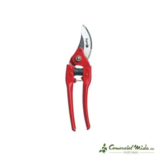 comercialmida444960