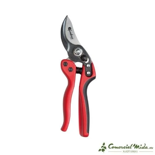 comercialmida445008