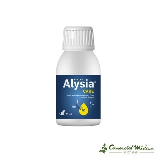 comercialmida445602