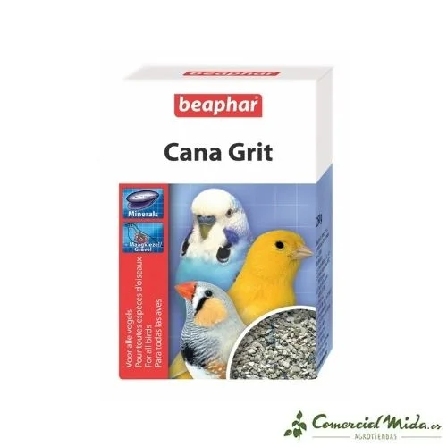 comercialmida445859