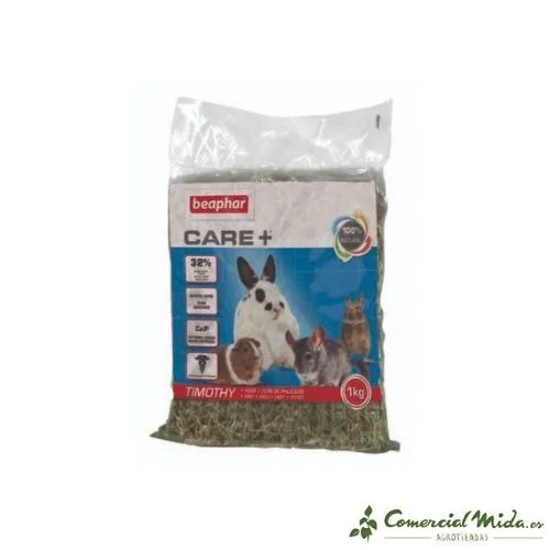 comercialmida446159