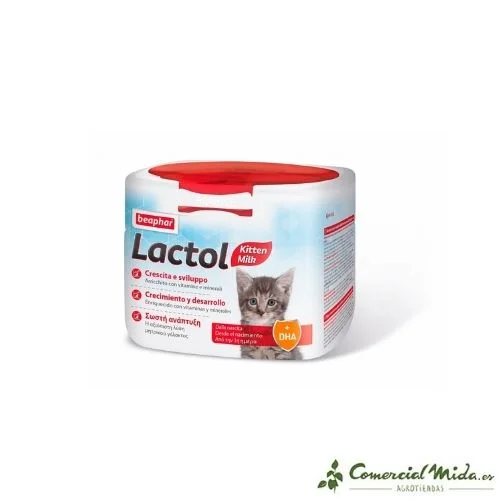 comercialmida446173