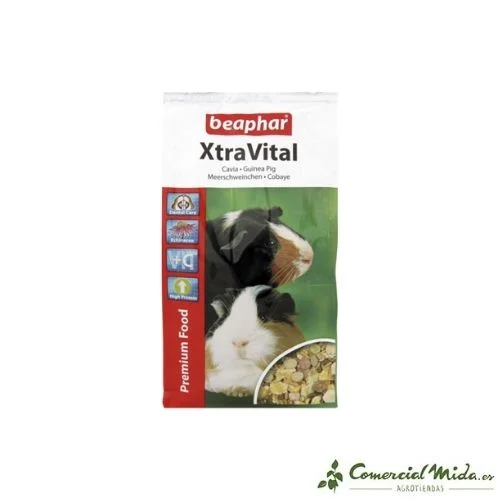 comercialmida446542