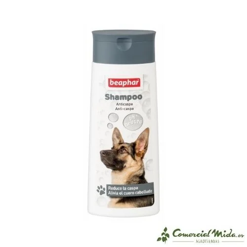 comercialmida446808