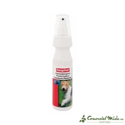 comercialmida446848