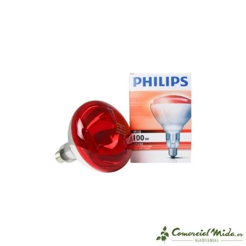 comercialmida447098