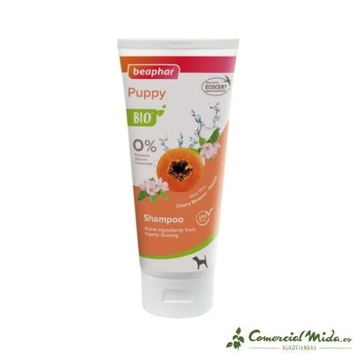 comercialmida447111