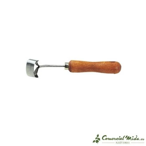 comercialmida449177