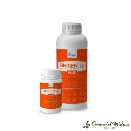comercialmida449776