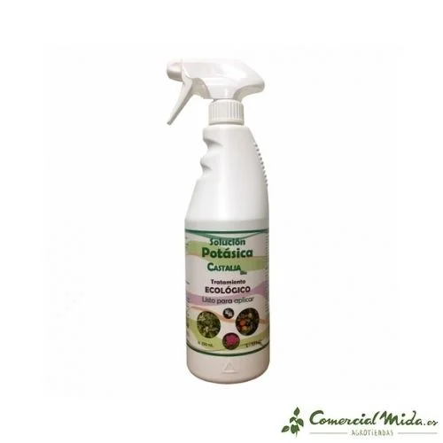 comercialmida449832