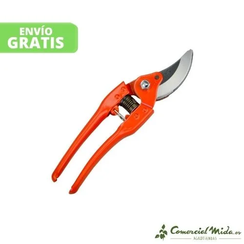 comercialmida453304