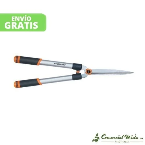 comercialmida453484