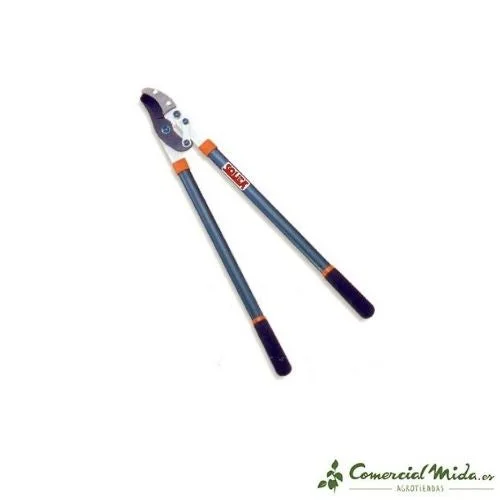 comercialmida453659