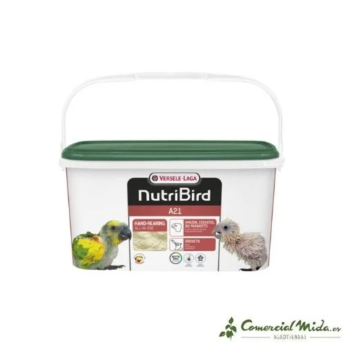 comercialmida455681