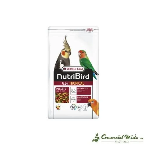 comercialmida455947
