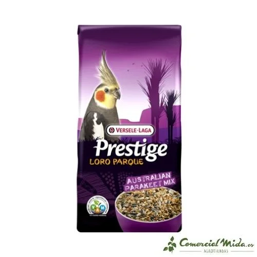 comercialmida457343