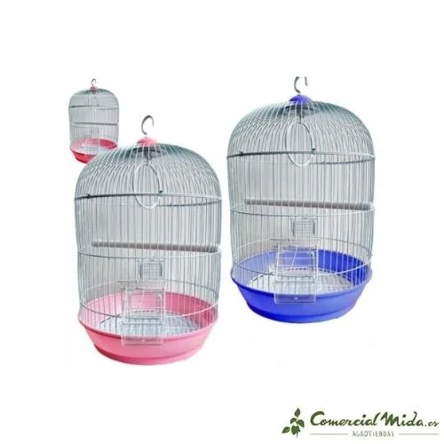 comercialmida458638