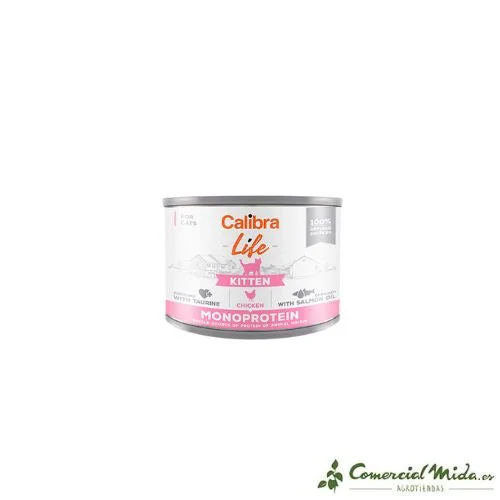 comercialmida462126
