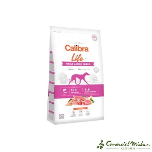 comercialmida462679