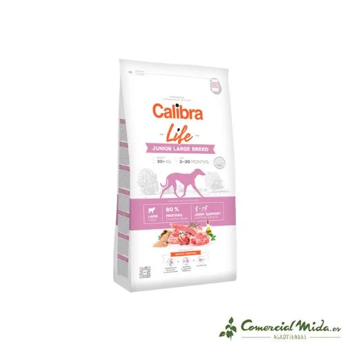 comercialmida462804